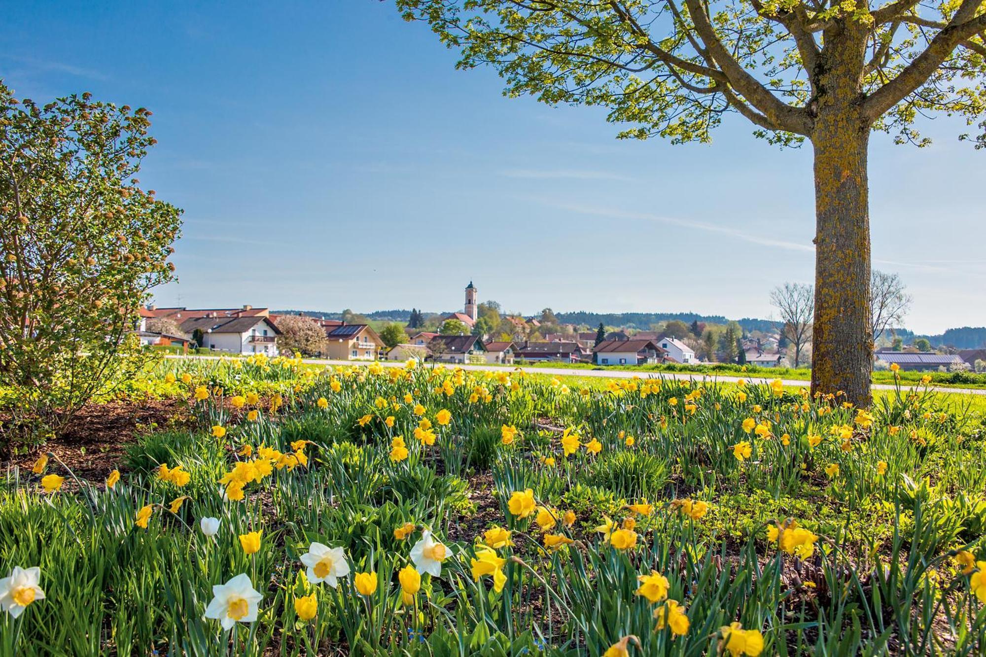 Chalet An Der Brunnader - Ihr Perfekter Rueckzugsort In Der Bayerischen Toskana Bad Birnbach Exteriör bild