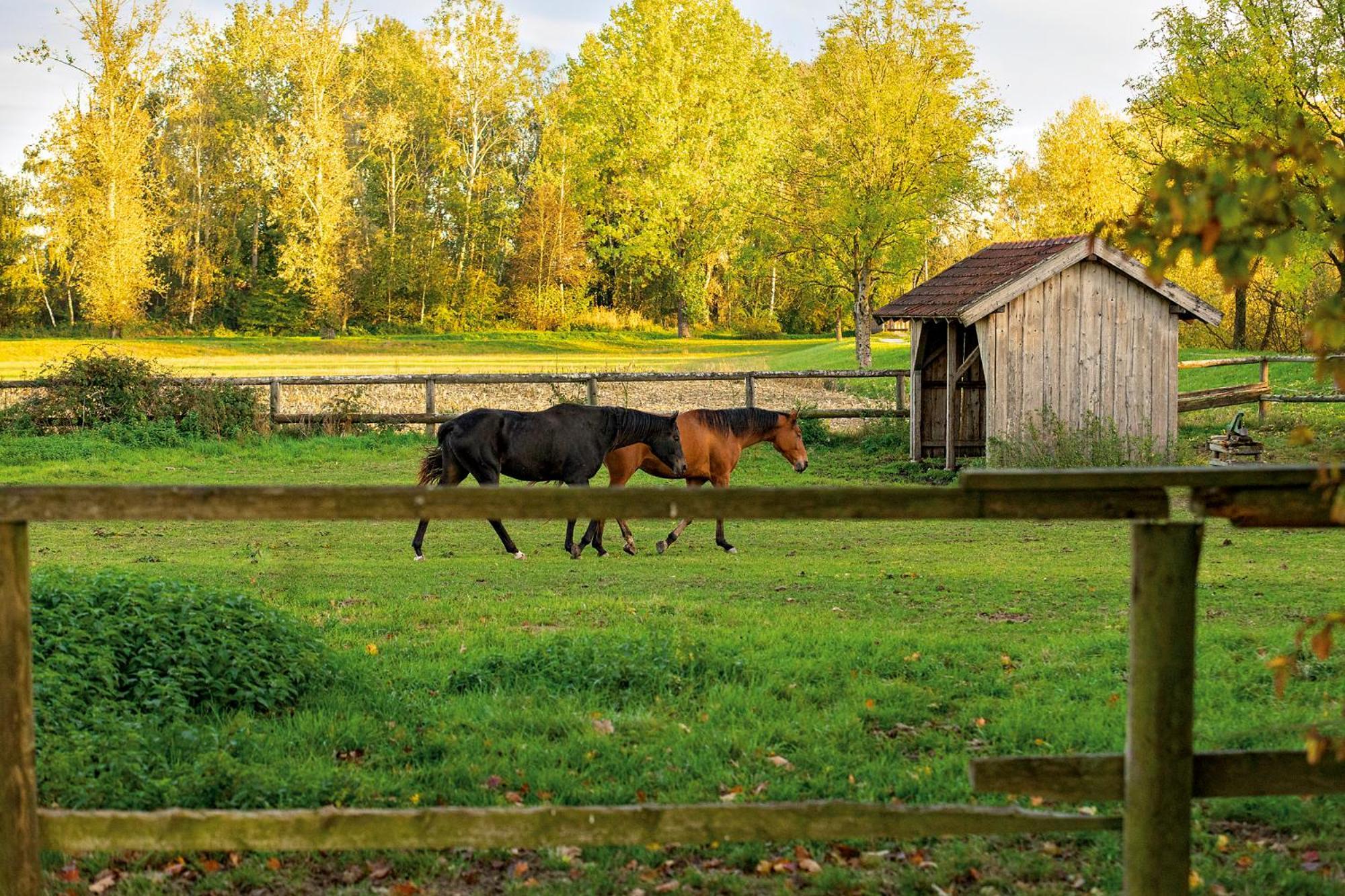 Chalet An Der Brunnader - Ihr Perfekter Rueckzugsort In Der Bayerischen Toskana Bad Birnbach Exteriör bild